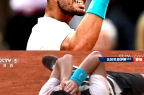 爱游戏娱乐-阿扎伦卡的国籍